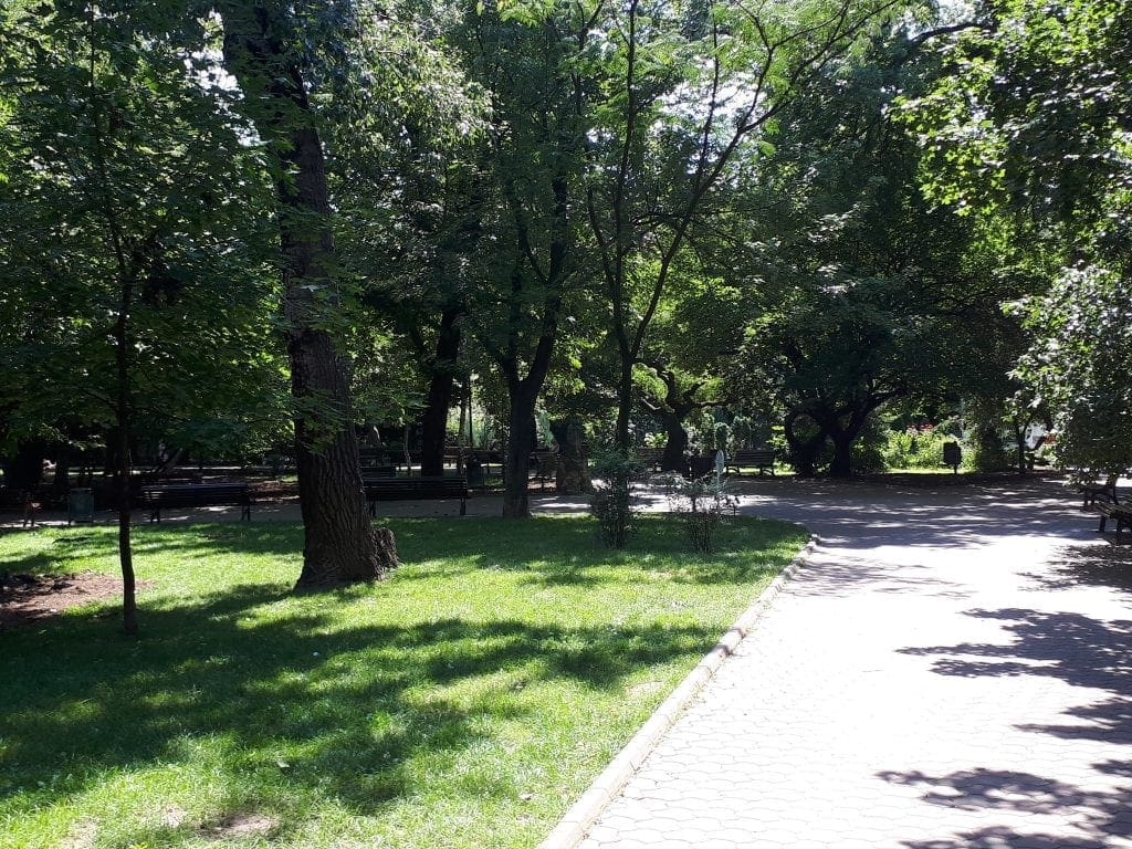 20180805 130936 1024x768 - Parcul Ioanid, un monument istoric cu personalitate puternică