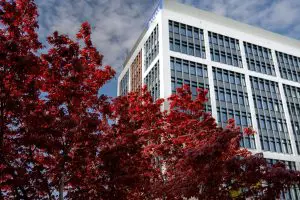 Vastint Ipsos 1 1 300x200 - Ipsos