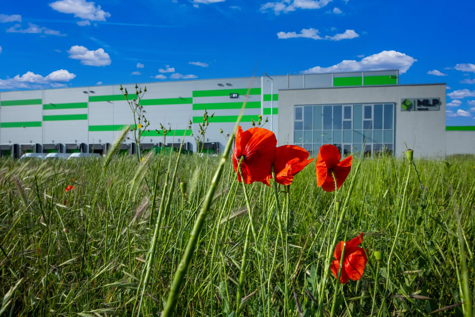 MLP Bucharest - MLP Bucharest West: Nou chiriaș de logistică pentru 5.270 mp