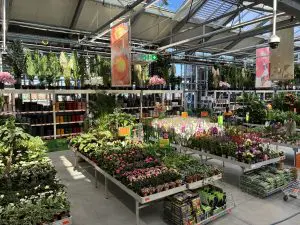Hornbach Sibiu 300x225 - Hornbach_Sibiu