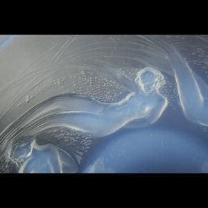 lalique calypso 2N 300x300 - lalique_calypso_2N