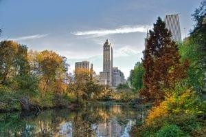 Southwest corner of Central Park looking east NYC 300x199 - Central Park foliage photo-walk, Nov 2009 - 10