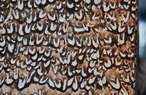 IMG 2338 300x196 - IMG_2338