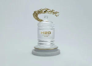 image003 b scaled.jpg 300x216 - H2ON