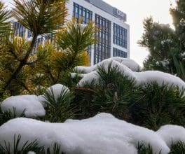 SCOR închiriază 2.320 mp în Business Garden Bucharest