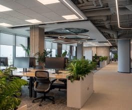 Studiu CBRE: Designul și autonomia domină viitorul muncii în birourile din București
